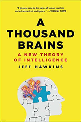 A Thousand Brains: A New Theory of Intelligence