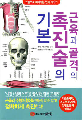 근육과 골격의 촉진술의 기본