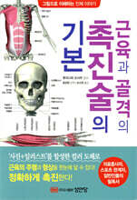 근육과 골격의 촉진술의 기본