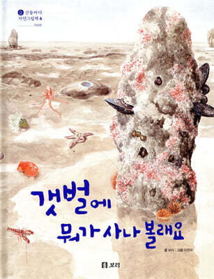 갯벌에 뭐가 사나 볼래요