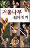 겨울나무 쉽게 찾기