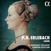 Damien Guillon 에를바흐: 가곡과 소나타 (Erlebach: Lieder and Sonatas - Harmonische Freude Musicalischer Freunde)