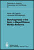 Morphogenesis of the Brain in Staged Rhesus Monkey Embryos