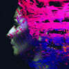 Steven Wilson (스티븐 윌슨) - Hand. Cannot. Erase. [2LP]