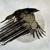 Katatonia (카타토니아) - Mnemosynean