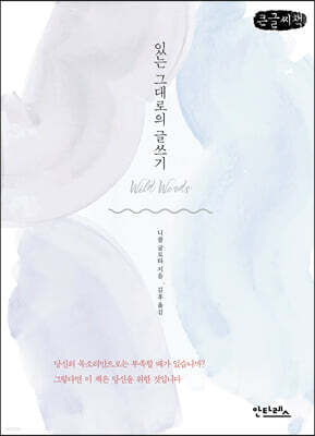 있는 그대로의 글쓰기 (큰글씨책)