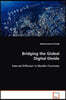 Bridging the Global Digital Divide