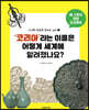 코리아라는 이름은 어떻게 세계에 알려졌나요?