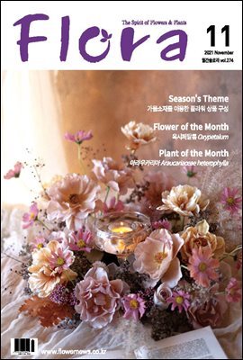 월간  FLORA 2021년 11월호