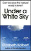 Under a White Sky