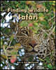 Finding Wildlife On Safari