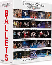 발레 5편 모음집 (Ballet Company of Teatro alla Scala - 5 Outstanding Ballets)