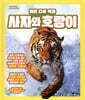 자연 다큐 백과 : 사자와 호랑이