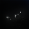 Bliss Signal - Bliss Signal (LP)