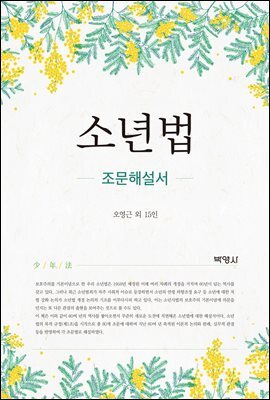 소년법 : 조문해설서