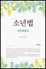 소년법 : 조문해설서