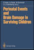 Perinatal Events and Brain Damage in Surviving Children: Based on Papers Presented at an International Conference Held in Heidelberg in 1986