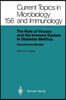 The Role of Viruses and the Immune System in Diabetes Mellitus: Experimental Models