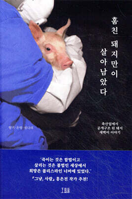 훔친 돼지만이 살아남았다