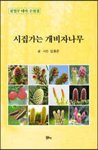 시집가는 개비자나무