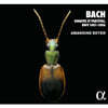 Amandine Beyer 바흐: 무반주 바이올린 소나타와 파르티타 전곡 (Bach: Sonates et Partitas, BWV1001-BWV1006)