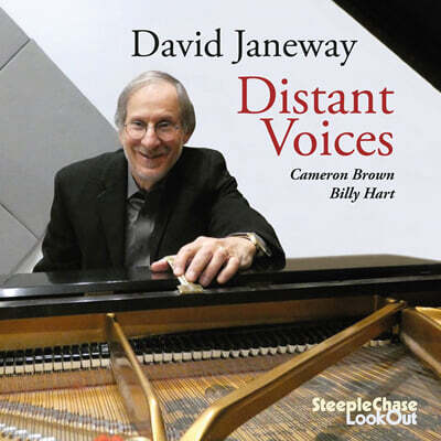 David Janeway (데이비드 제인웨이) - Distant Voices