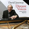 David Janeway (데이비드 제인웨이) - Distant Voices