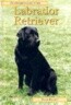 The Labrador Retriever