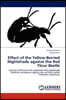 Effect of the Yellow-Berried Nightshade against the Red Flour Beetle