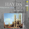 Leipziger Streichquartett 하이든: 현악 사중주 13집 (Haydn: String Quartets Vol.13 - Op.74 No.1, 2, 3)