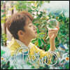 조민규 - 신세계 : PARANA