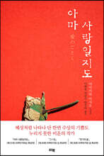 아마 사랑일지도