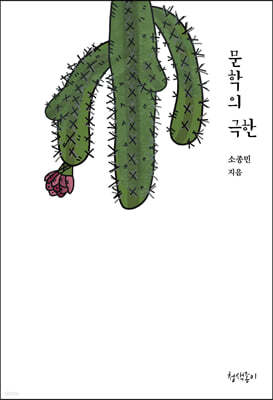 문학의 극한
