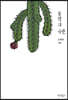문학의 극한