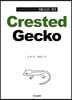 QnA로 알아보는 크레스티드 게코 Crested Gecko