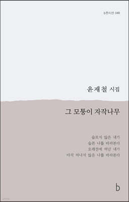 그 모퉁이 자작나무