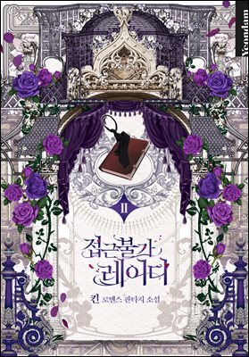 접근 불가 레이디 2권
