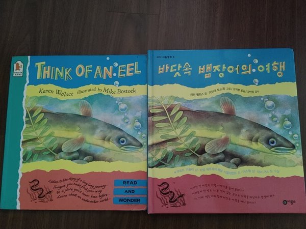 [원서+번역서] Think of an eel 바닷속 뱀장어의 여행 - 캐런 윌리스 글+마이크 보스톡