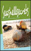 Seashellsecrets: Eine Reise an die Nordsee in Marchen, Bildern und Gedanken