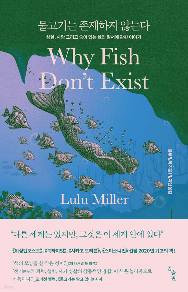 물고기오빠 이미지