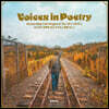 순수하고 담백한 포크 가수의 노래들 2집 (Voices in Poetry : Korean Male Folk Singers In The 70s~2010s) [반투명 블루 컬러 LP]