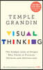 Visual Thinking