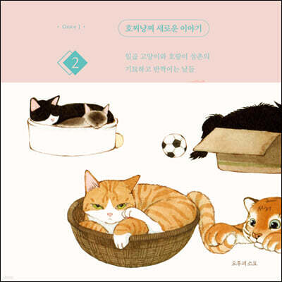 호찌냥찌 새로운 이야기 2