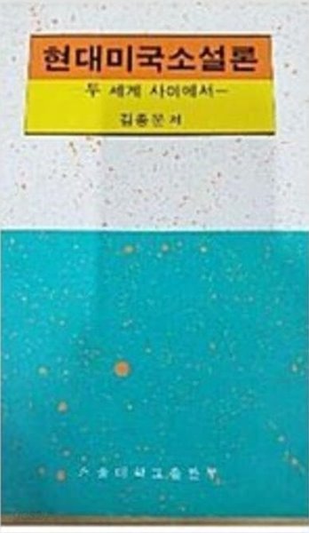 현대미국소설론 - 두 세계 사이에서 (1992 초판)