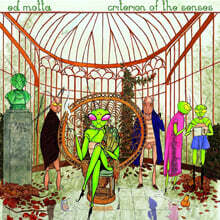 Ed Motta (에드 모타) - Criterion of the Senses