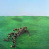 Squid (스퀴드) - 1집 Bright Green Field [아프리콧 컬러 2LP]