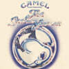 Camel (카멜) - 3집 The Snow Goose [LP]