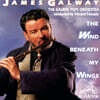 James Galway 제임스 골웨이 플루트 연주집 (The Wind Beneath My Wings)