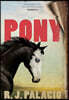 Pony