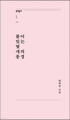 불이 있는 몇 개의 풍경